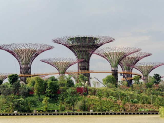 Supertrees Grove in Gardens by the Bay