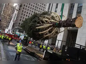 rockefeller christmas tree 2025: Rockefeller Center’s 2025 Christmas ...