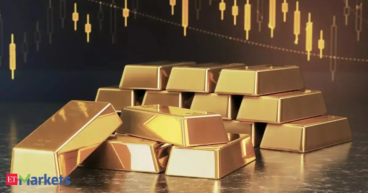 Investors should exit 'unregulated' digital gold: Analysts