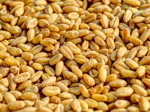 Wheat flour - The hidden spike 