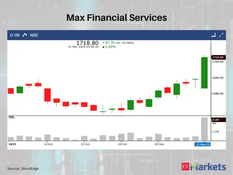 Max Financial Services 