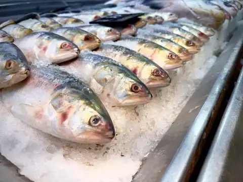  Fish and seafood: salmon, tuna, sardine, shellfish