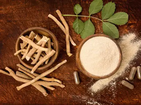 Withania somnifera also called ashwagandha