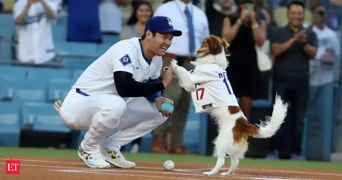 Shohei Ohtani makes history, becomes 4-time MVP after unanimous win in National League
