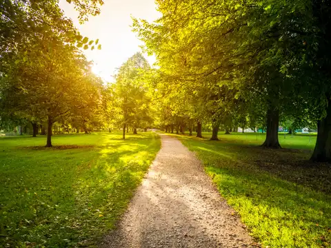 Why Vitamin D matters so much