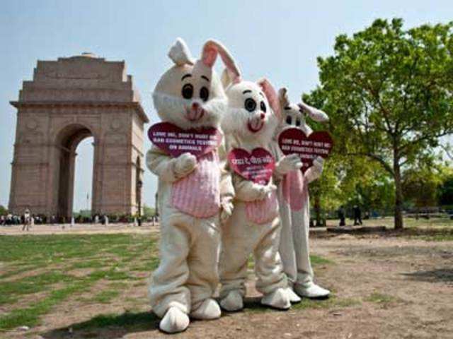PETA activists dressed as Easter bunnies
