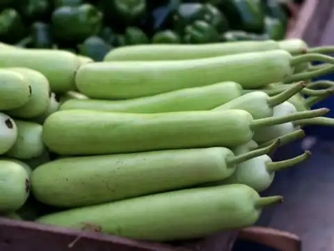 Bottle gourd for light meals and fluids
