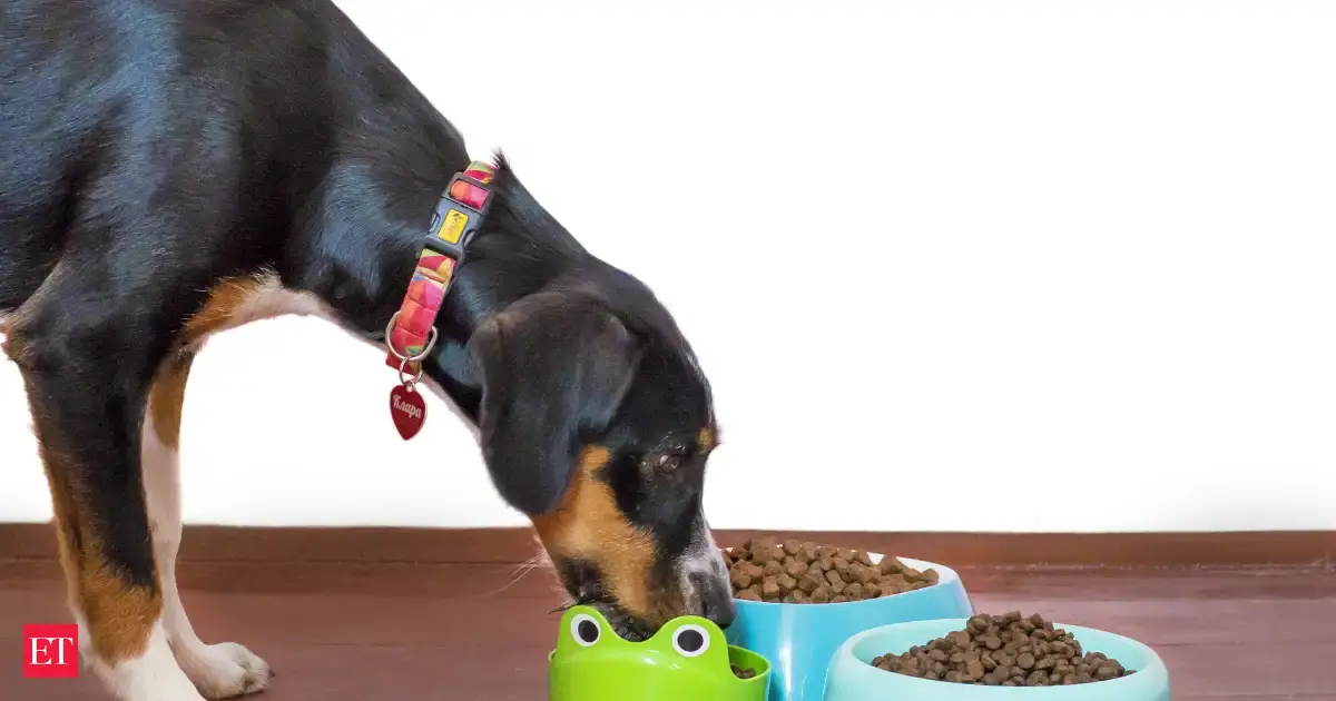 Reliance enters pet food market, potentially sparking a fierce price competition