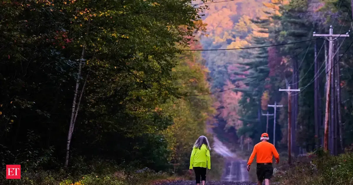Fall leaves, big benefits: Doctors say why a simple leaf-peeping walk can transform your health
