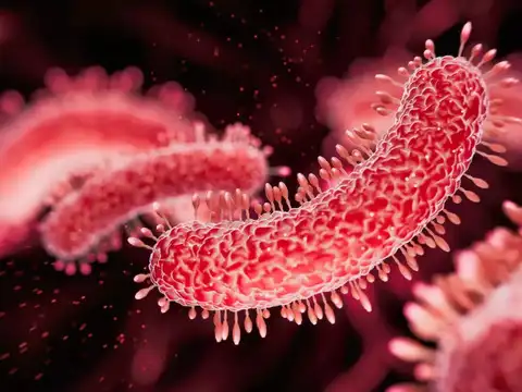Sepsis and overwhelming infection