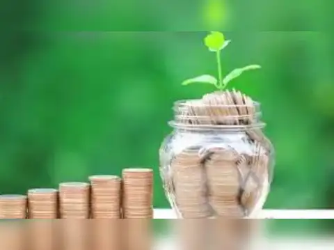 Thematic fund