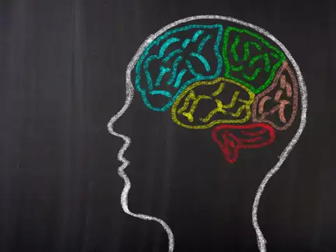 Your brain's reward system gets exhausted