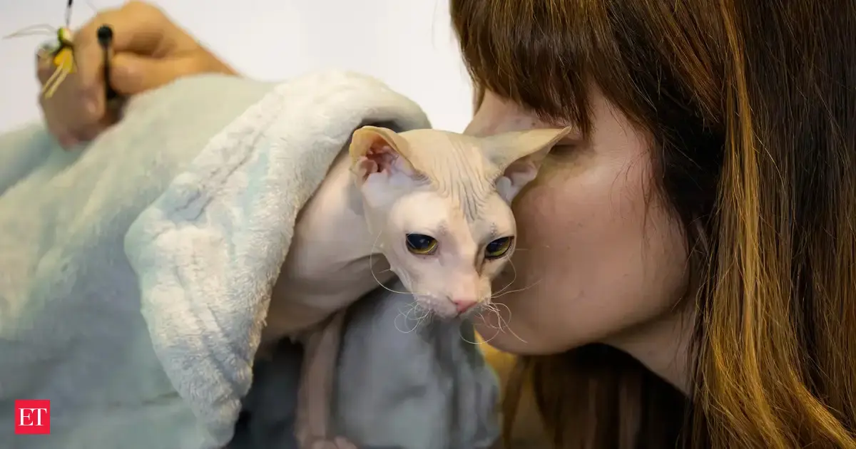 Could owning a cat bring health risks? Study suggests it may double the chances of a ‘serious mental health condition’