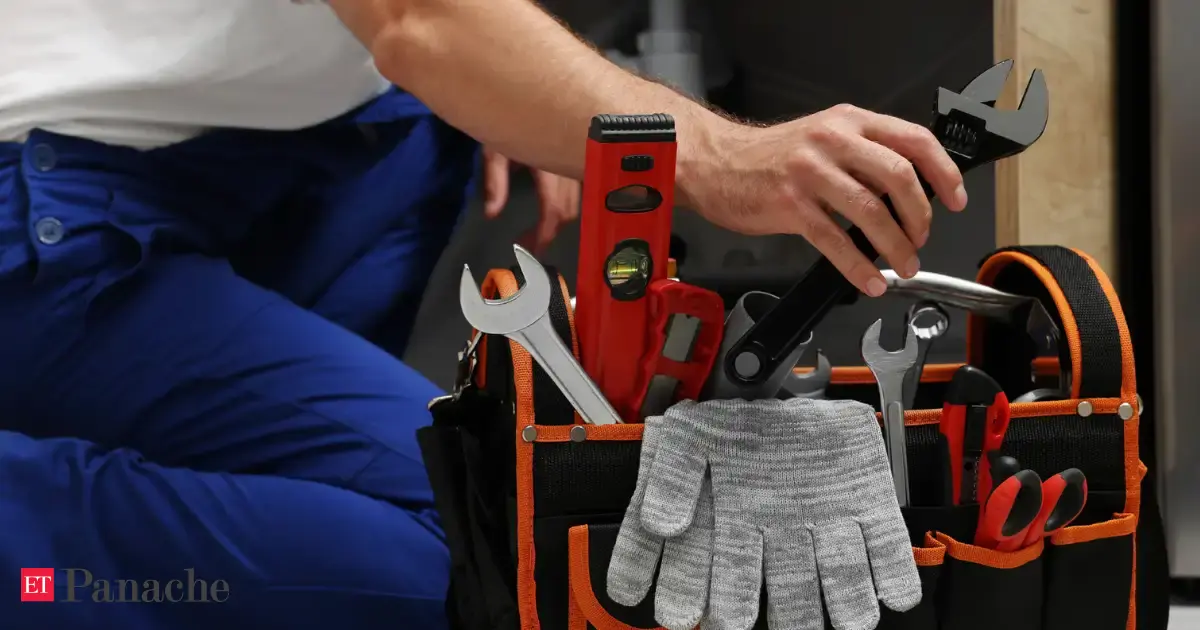 Teenage brothers bought a web domain with ₹2000 for a blue collar side hustle now the gen Z cofounders' venture makes over ₹11.5 crore a year