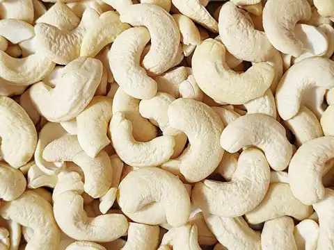  Enhanced nutrient absorption and mineral optimization