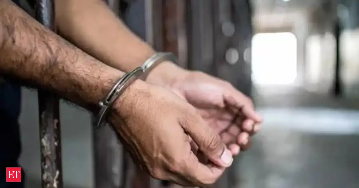 Texas men's sinister plot exposed: Duo in their 20s had planned to grab Haitian island, make women, children slaves