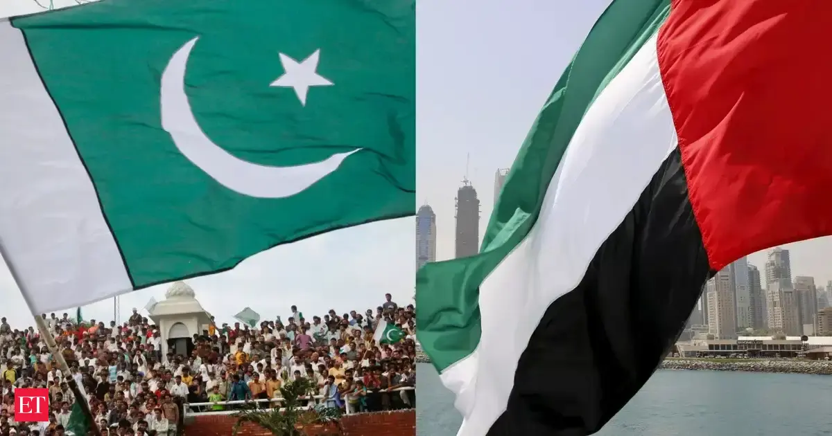 UAE stops issuing visas to Pakistanis over 'criminal activities' concern: Pak officials