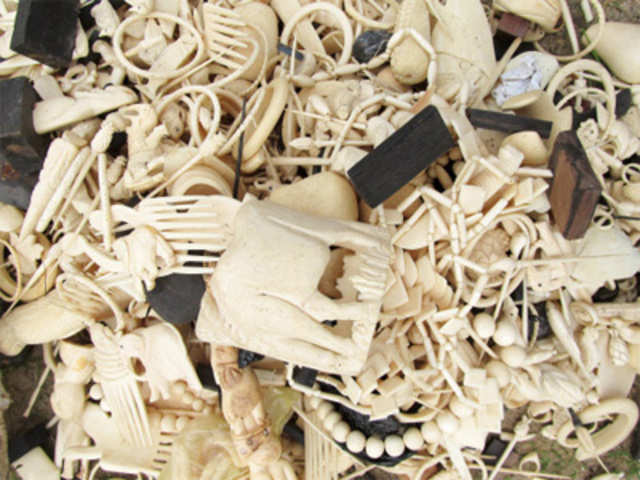 Ivory carvings seen during an inventory of ivory stocks