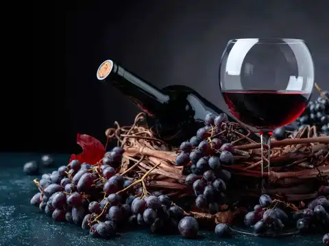 Bodega Garz&oacute;n (Maldonado, Uruguay)