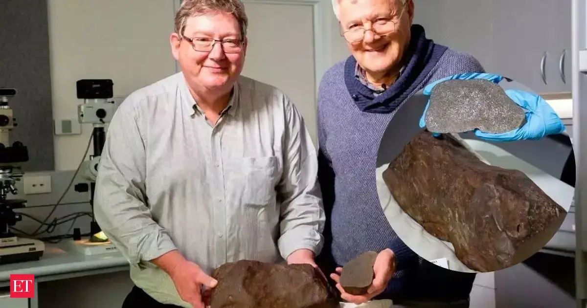 He tried breaking a strange rock with a hammer, drill or acid, it turned out to be a 4,60,00,00,000-year-old space traveller