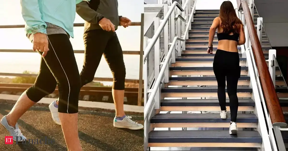 Walking vs climbing stairs for fat loss: Fitness coach answers which cardio type helps the body lose weight faster