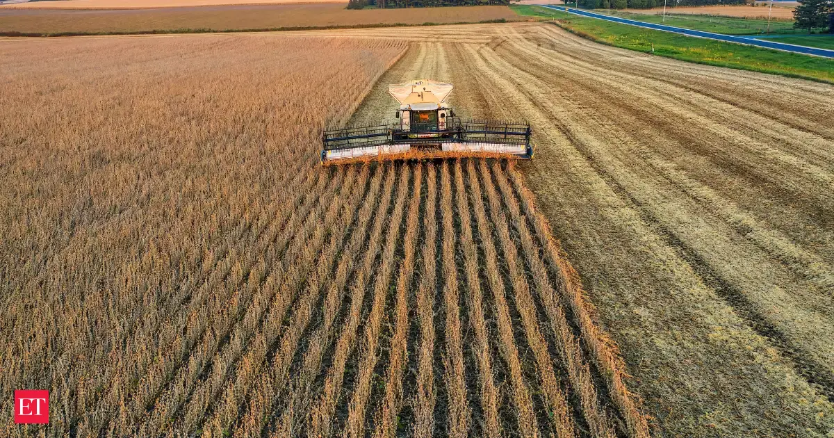 India makes rare long-term soy purchases to secure cheap supply