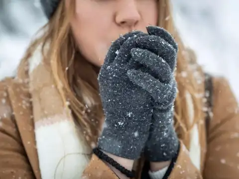 Protect head, hands, feet