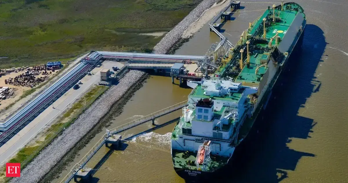 US LNG exports hit record high in November on cooler weather, strong ...