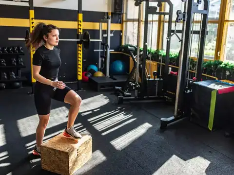 Step ups (low step)