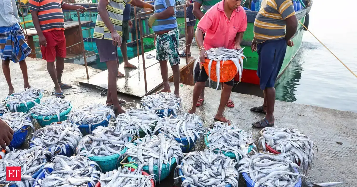 India's seafood exports rise, led by EU, China, Vietnam