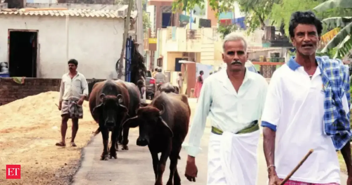 When global AI rush reaches a small Andhra Pradesh village