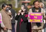 Sonia Gandhi asks govt to take action to tackle air pollution in city