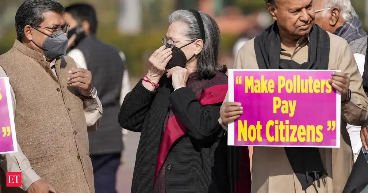 Sonia Gandhi asks govt to take action to tackle air pollution in city