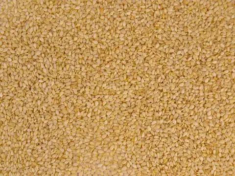 Why til is a winter superfood