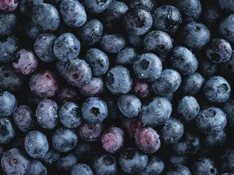  Blueberries