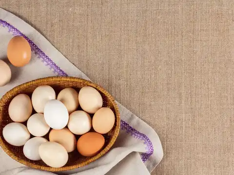  Eye pigments your retina needs