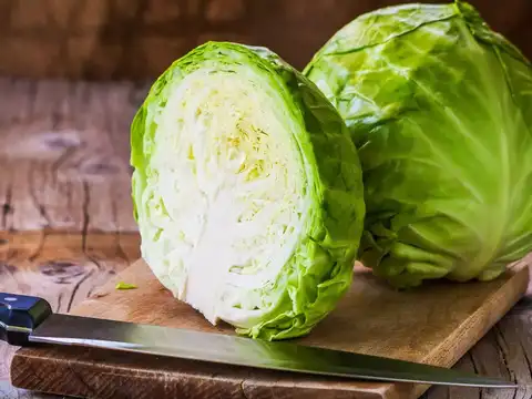 Cabbage