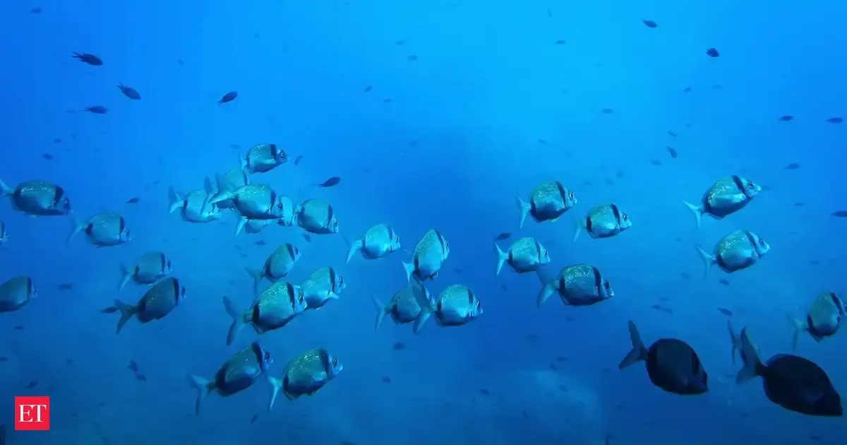 India's first deep sea marine microbial research facility coming up in Andhra's Nellore