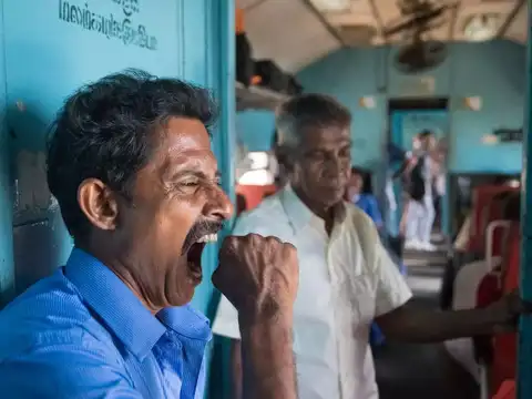 Understanding what a yawn is