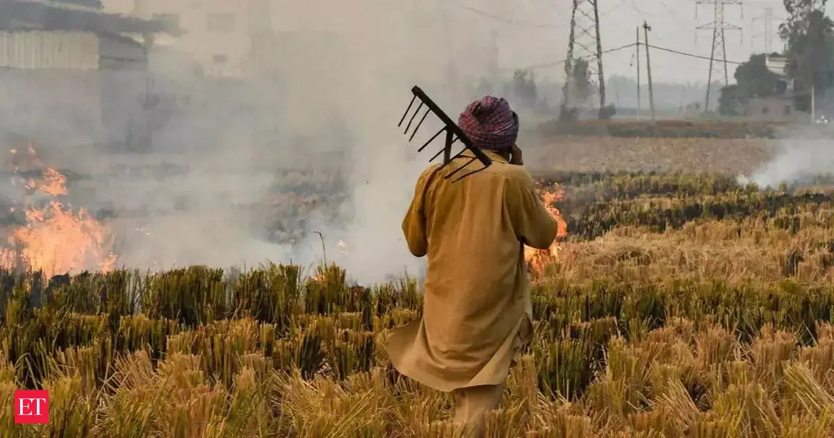 Satellites missing most farm fires in Punjab, Haryana; impact on Delhi highly underestimated: Report
