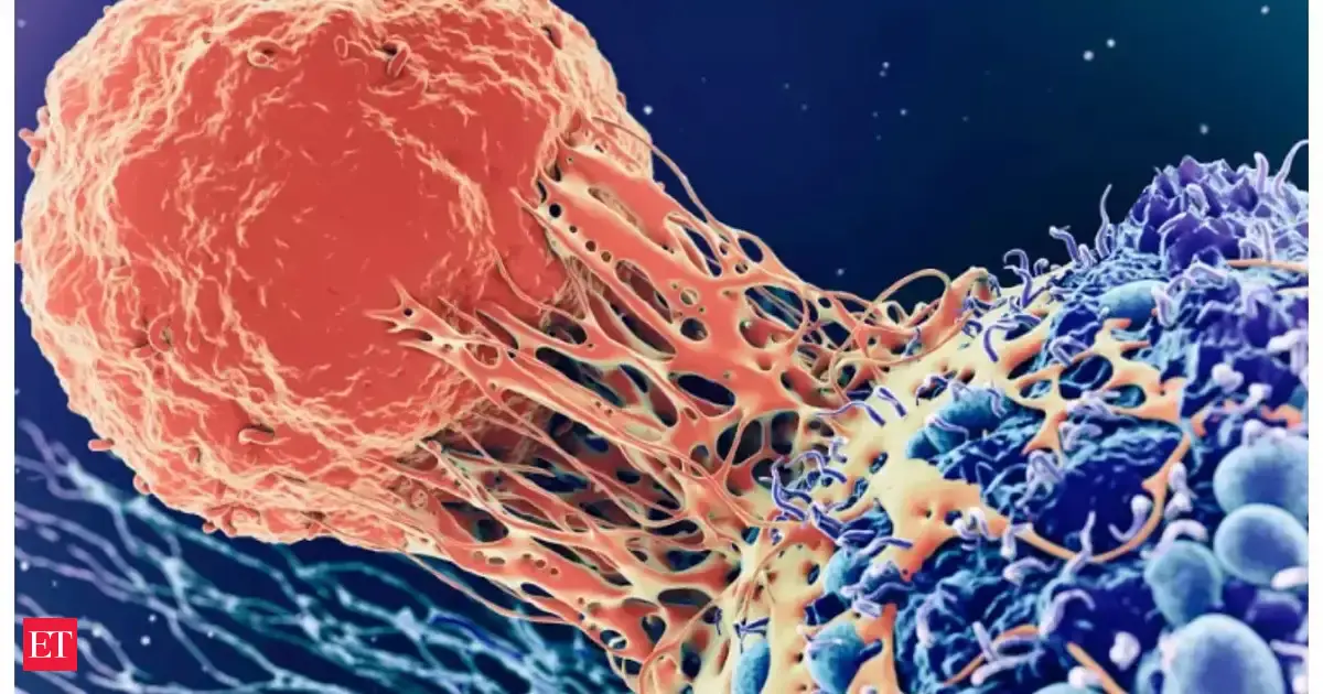 Top Florida cardiologist says to follow these 4 rules to prevent cancer, heart disease, and diabetes