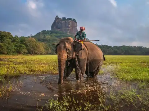 Sri Lanka combines coast and culture