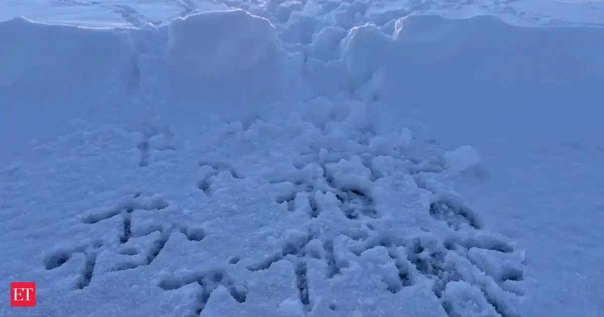 Monster winter blast to dump 15 inches of snow — travel chaos looms for 20 million