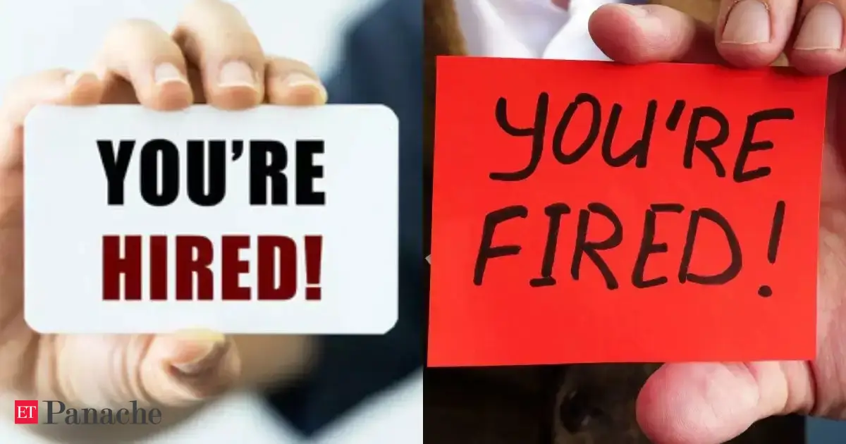 Hired and fired within 3 days of job interview: WFH worker gets suddenly rejected after being appointed