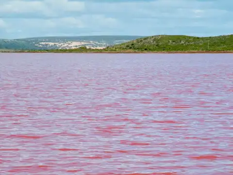 Las Salinas de Torrevieja, Spain