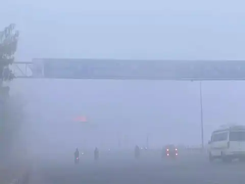 Why antibiotics do not work for pollution cough