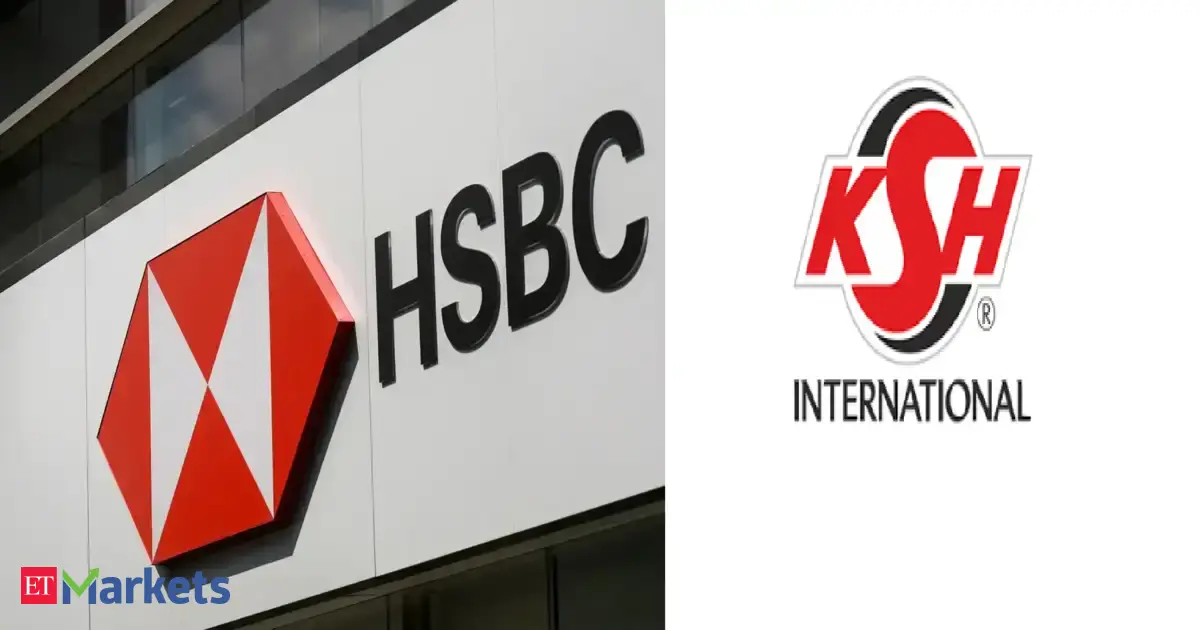 HSBC invests in KSH International’s Rs 213 crore anchor round ahead of IPO