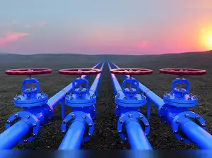 EU Parliament approves phase out of Russian gas imports - The Economic ...