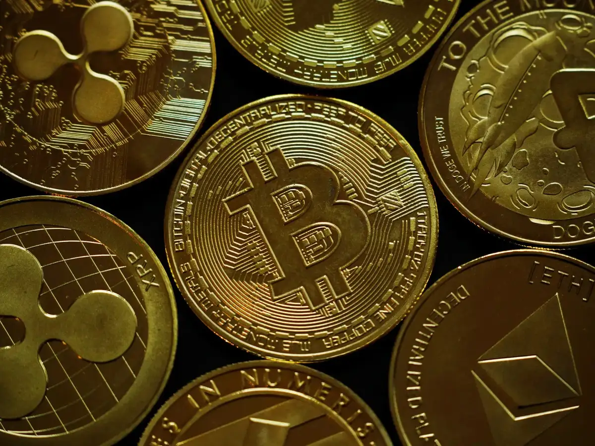 Cathi Wood News and Updates from The Economic Times