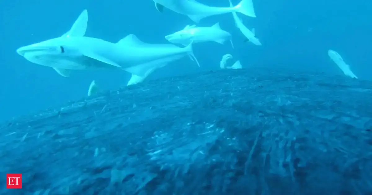 130-million-year-old oceans dominated by super predators at unprecedented trophic levels, far surpassing modern marine apex species